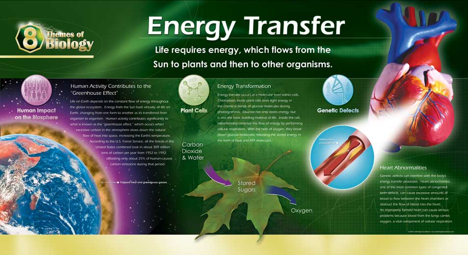 Biological Themes In Film Class | films media group eight themes of biology energy Biological Themes In Film Class | films media group eight themes of biology energy
